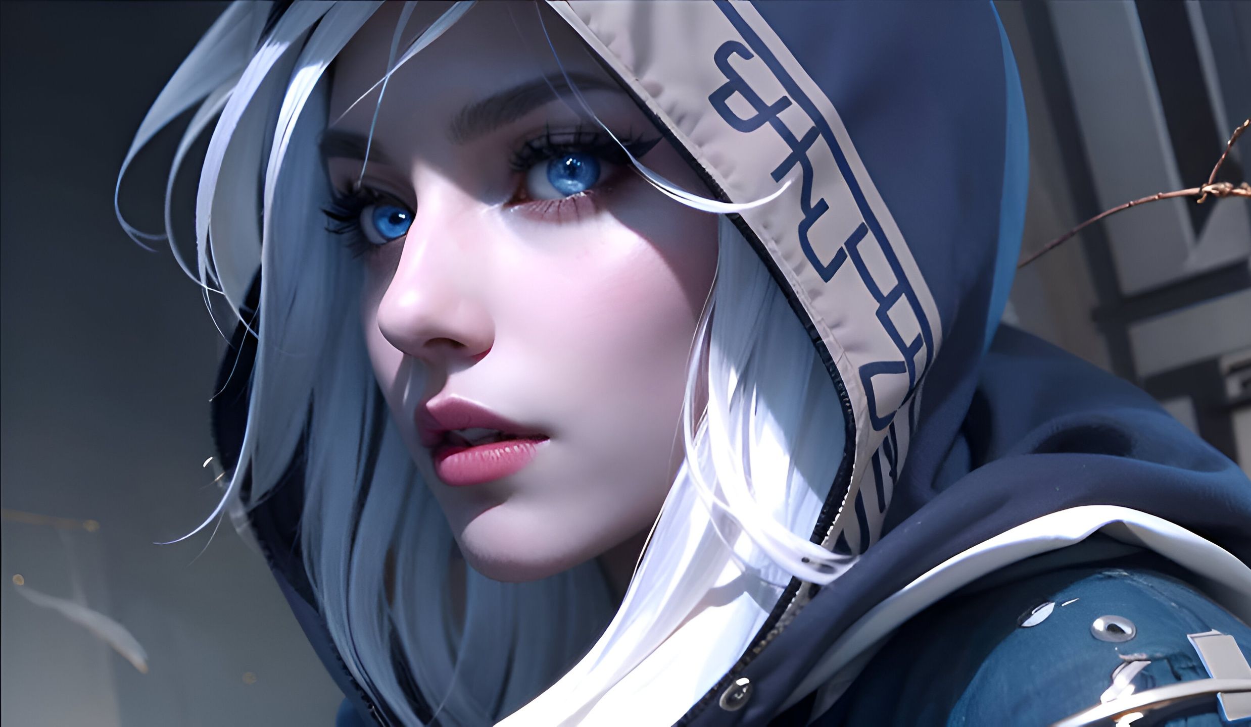 似乎没有给 似乎没有给